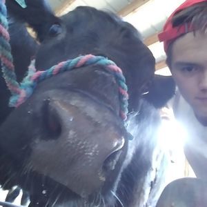 Meet your Posher, Ryan